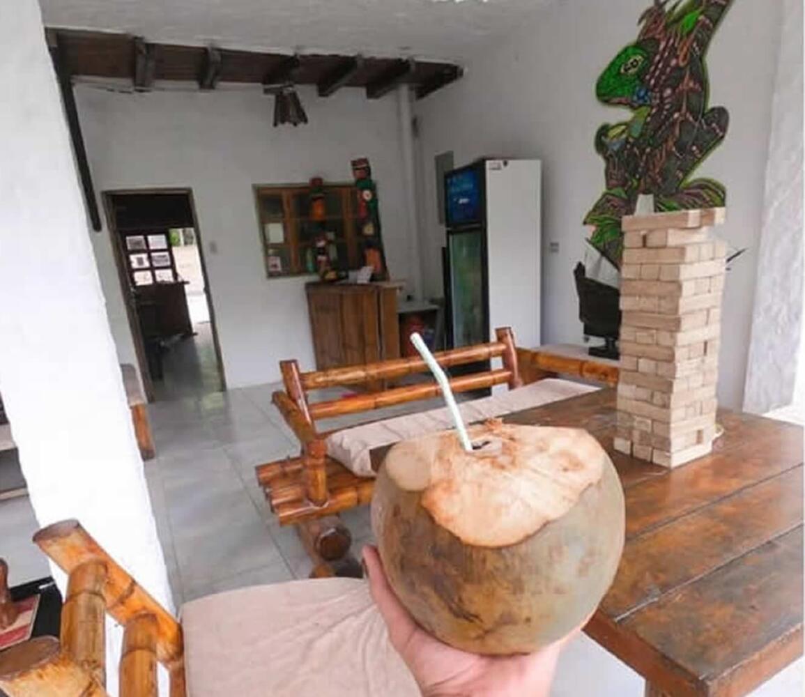 Iguana Montañita