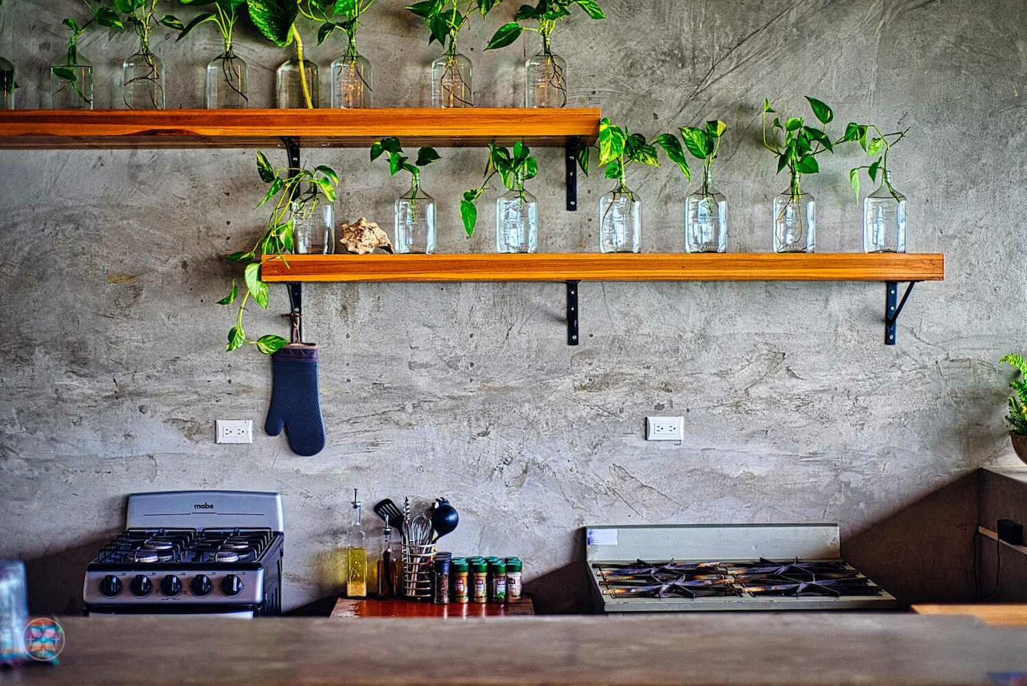 Hostal Don Cenobio, Flores