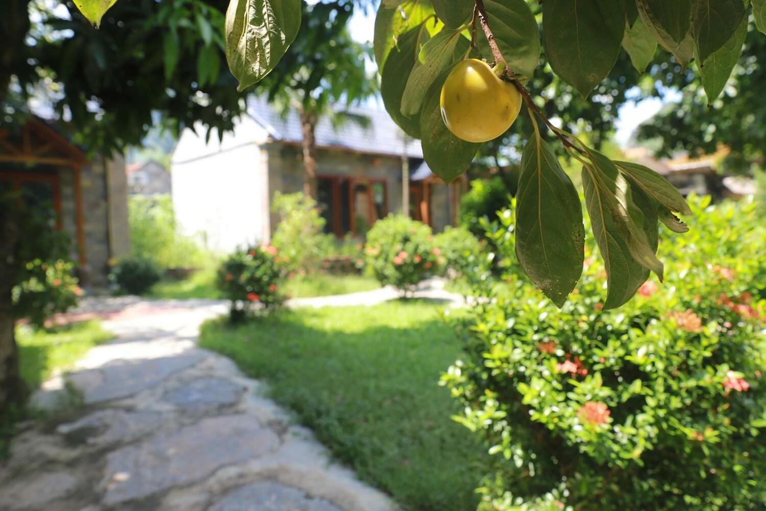 Trang An River View Homestay, Ninh Binh
