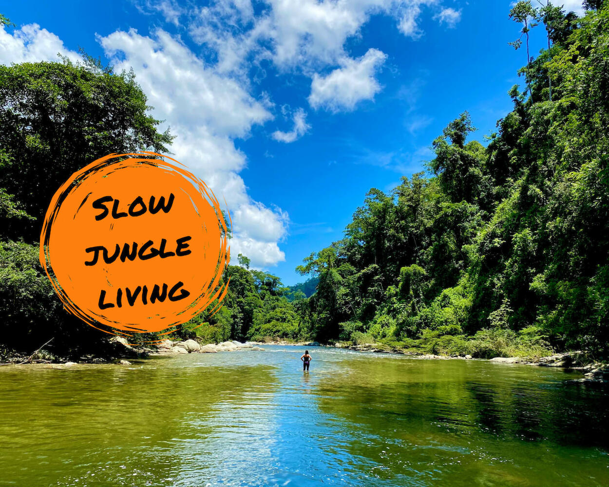 Blue Dot Jungle Eco Hostel, Buritaca