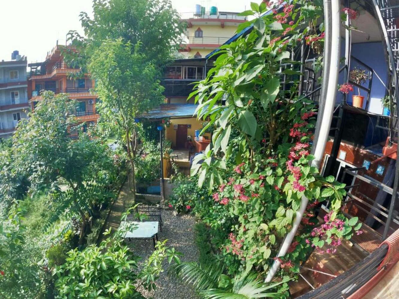 Forest Way Backpackers, Pokhara