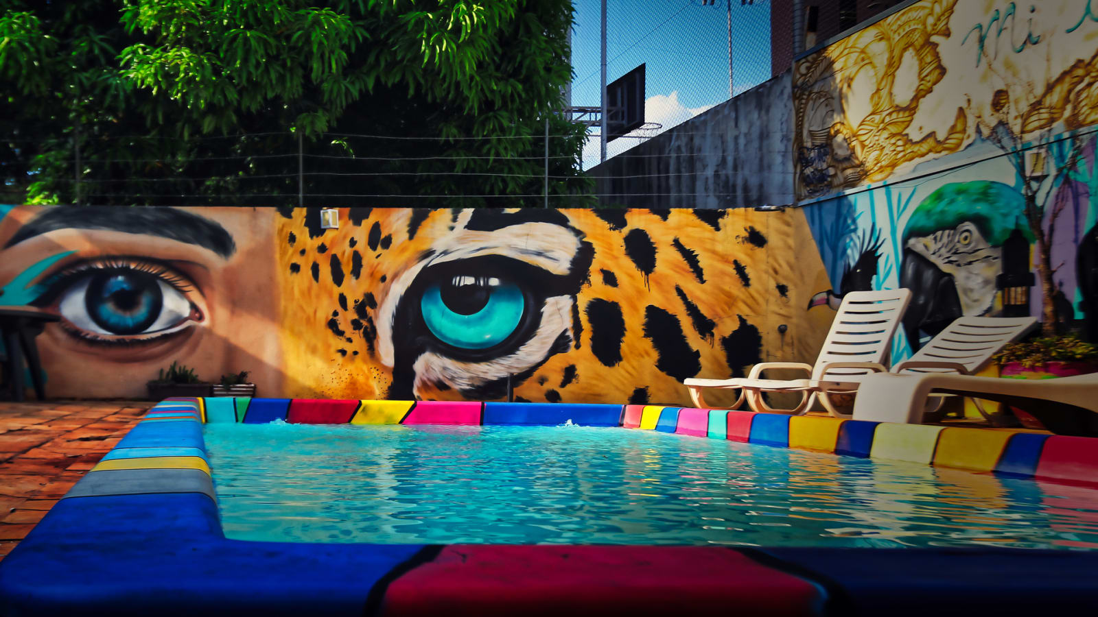 Price Comparison for Hostel Bambu in Foz do Iguaçu (with HONEST Reviews