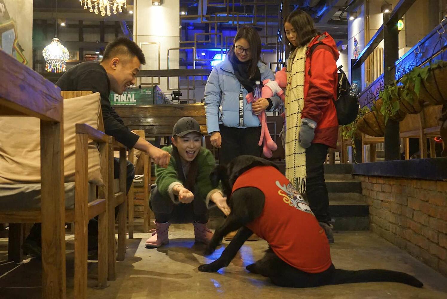 Hash International Youth Hostel, Harbin