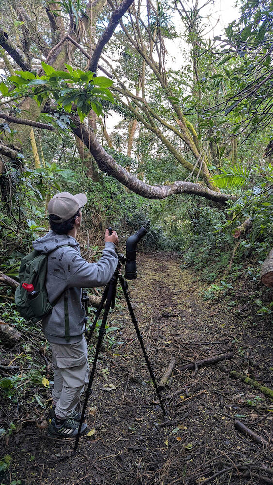 Sleepers/Campos de Oro Wilderness Lodge, Monteverde