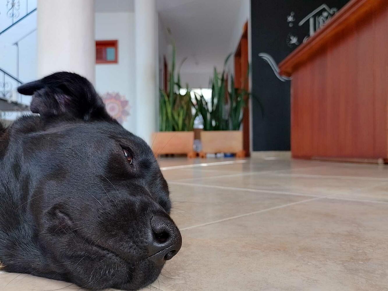 Hola Veci Hostel, Villa de Leyva