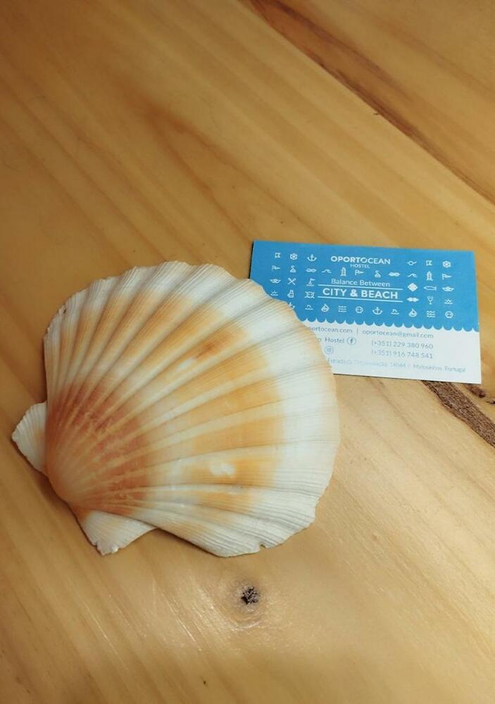 Oportocean Hostel