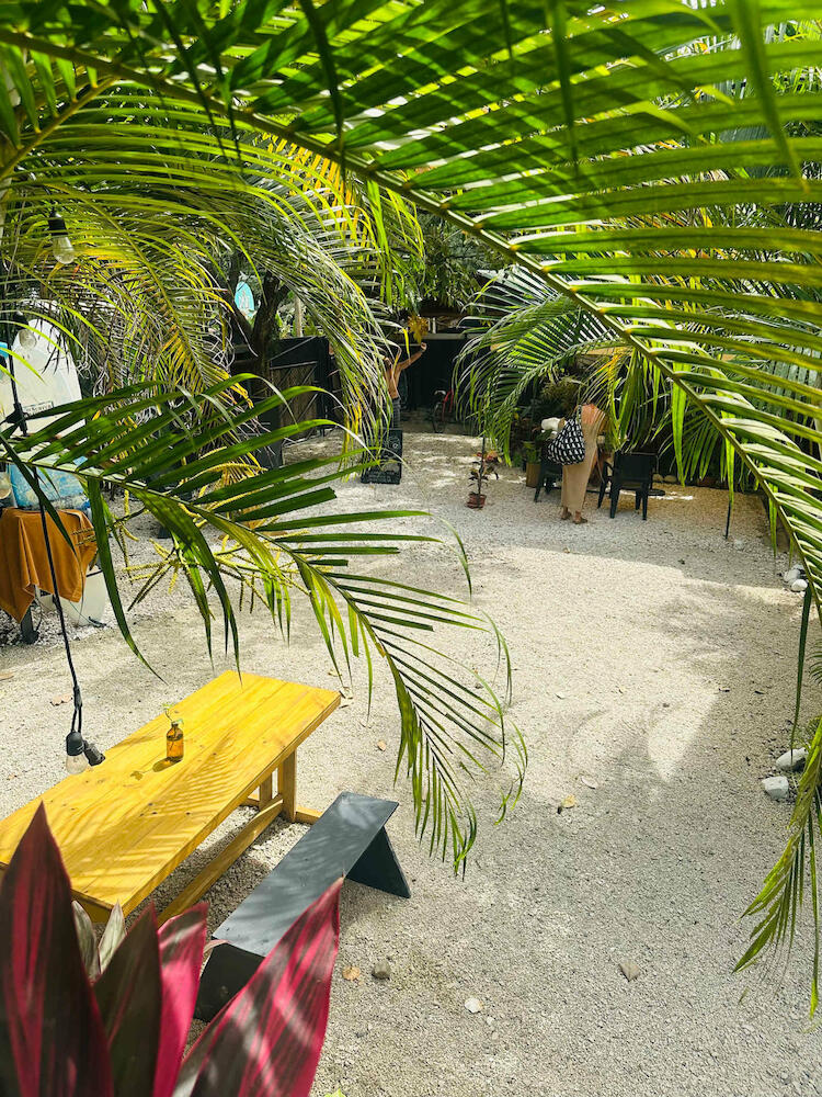 Surf Paradise, Santa Teresa