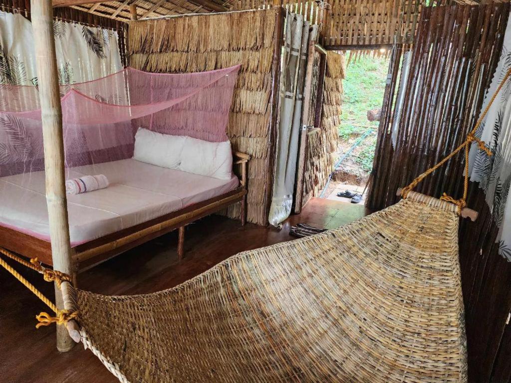 Bice Hostel Darocotan, El Nido