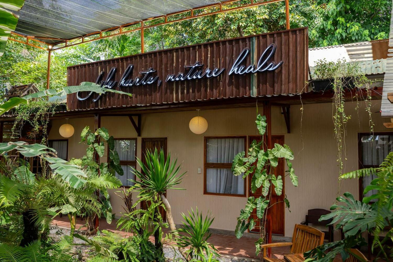 Harmony Garden - Hostel & Coffee, Hue