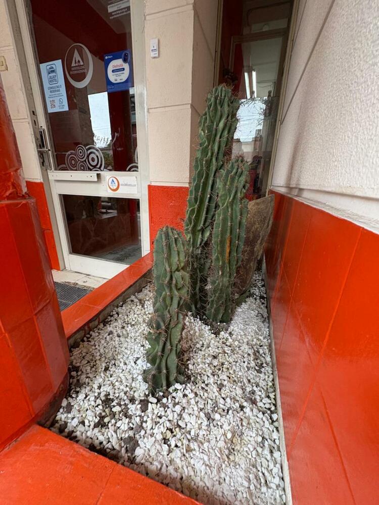 Jujuy Hostel, San Salvador de Jujuy