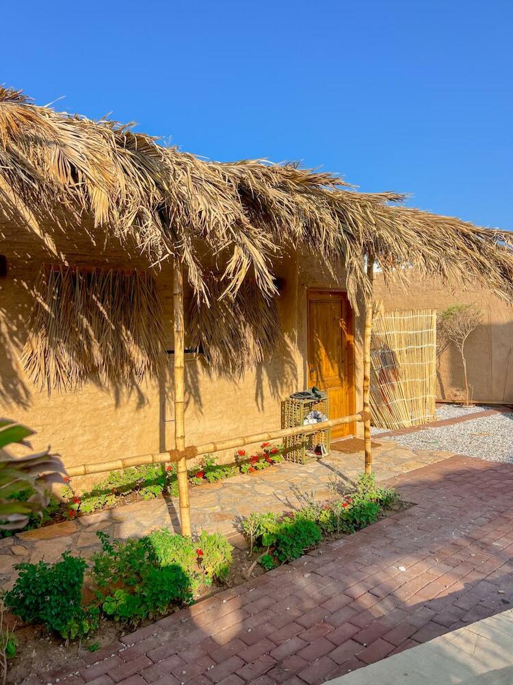 Rafiki Oasis