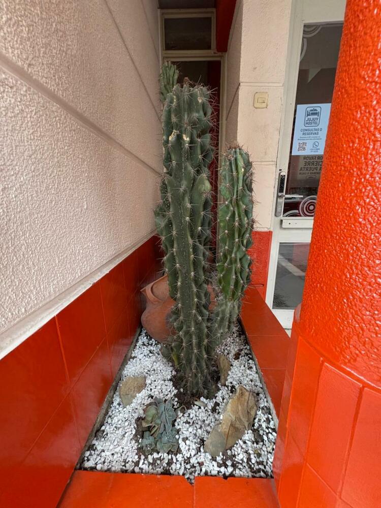 Jujuy Hostel, San Salvador de Jujuy