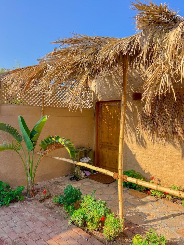 Rafiki Oasis