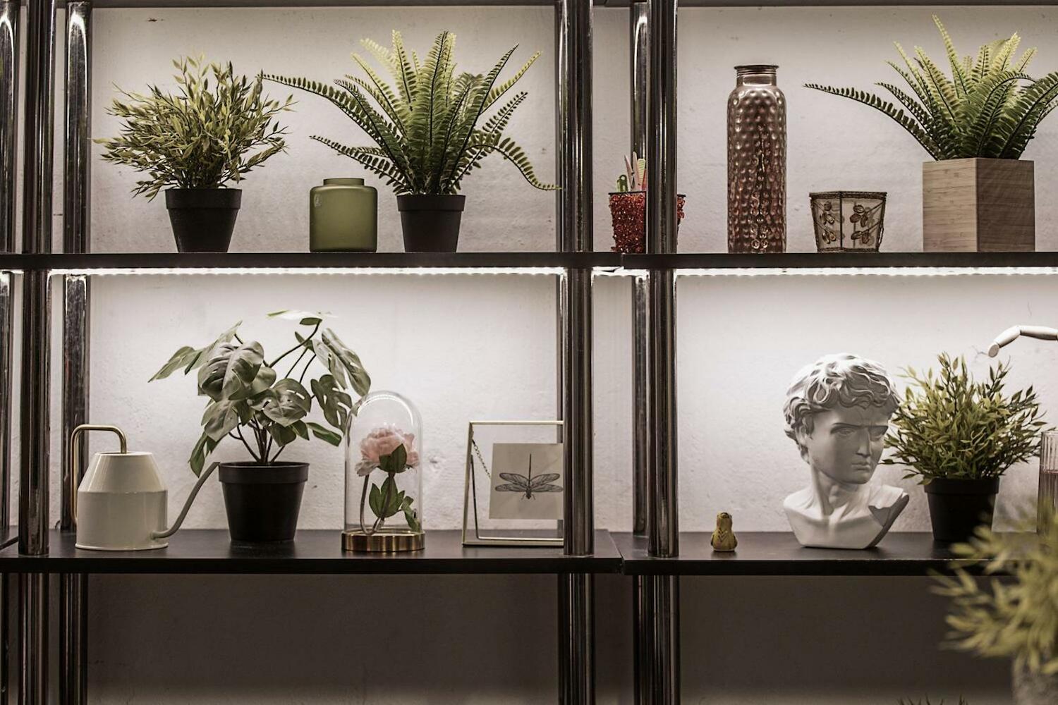 Travel & Live Porto Hostel, Porto