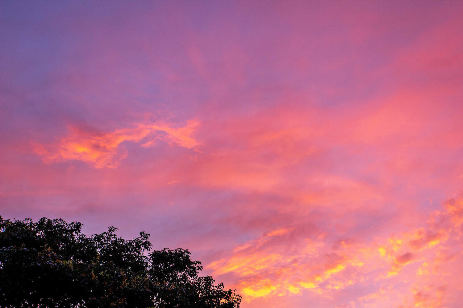 Casita Bambalu, Taganga