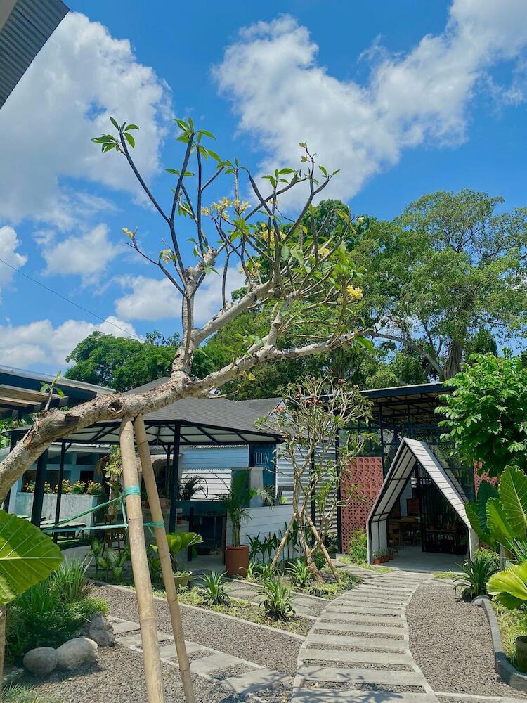 The Jungle Hostel