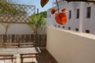 Black Swan Hostel Sevilla, Seville