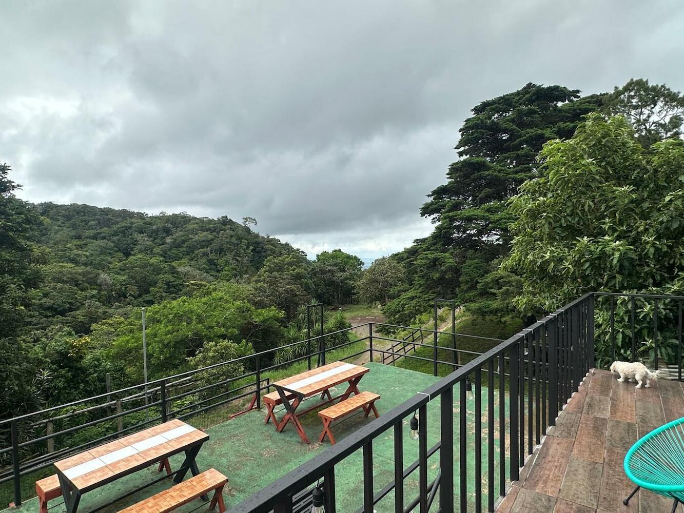 Monteverde Monkey Hostel