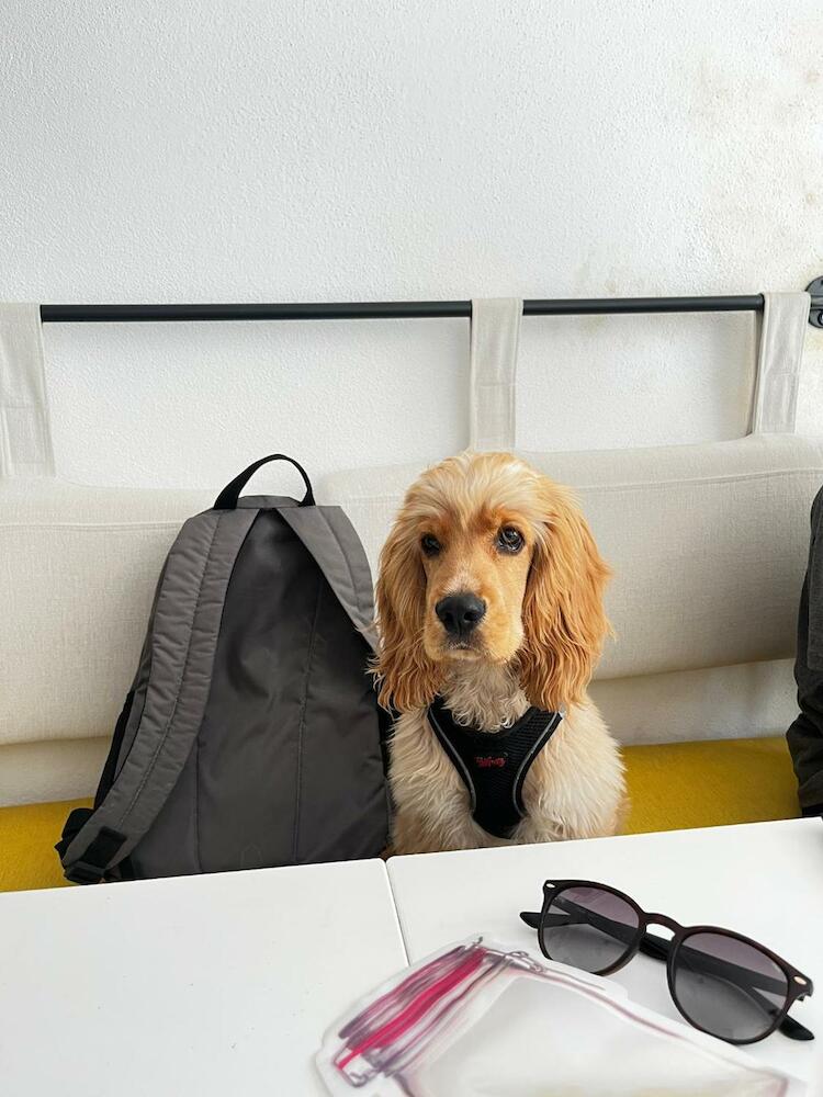 BE BOLD HOSTEL, Antalya