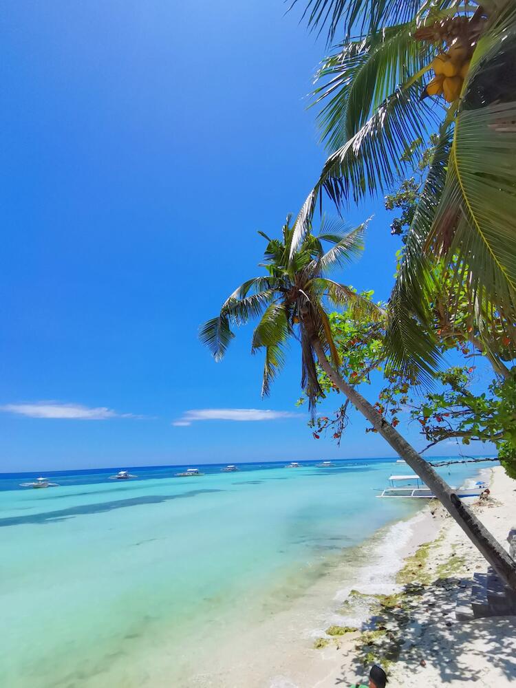 On Board Panglao Beach Hostel & Resort, Panglao Island