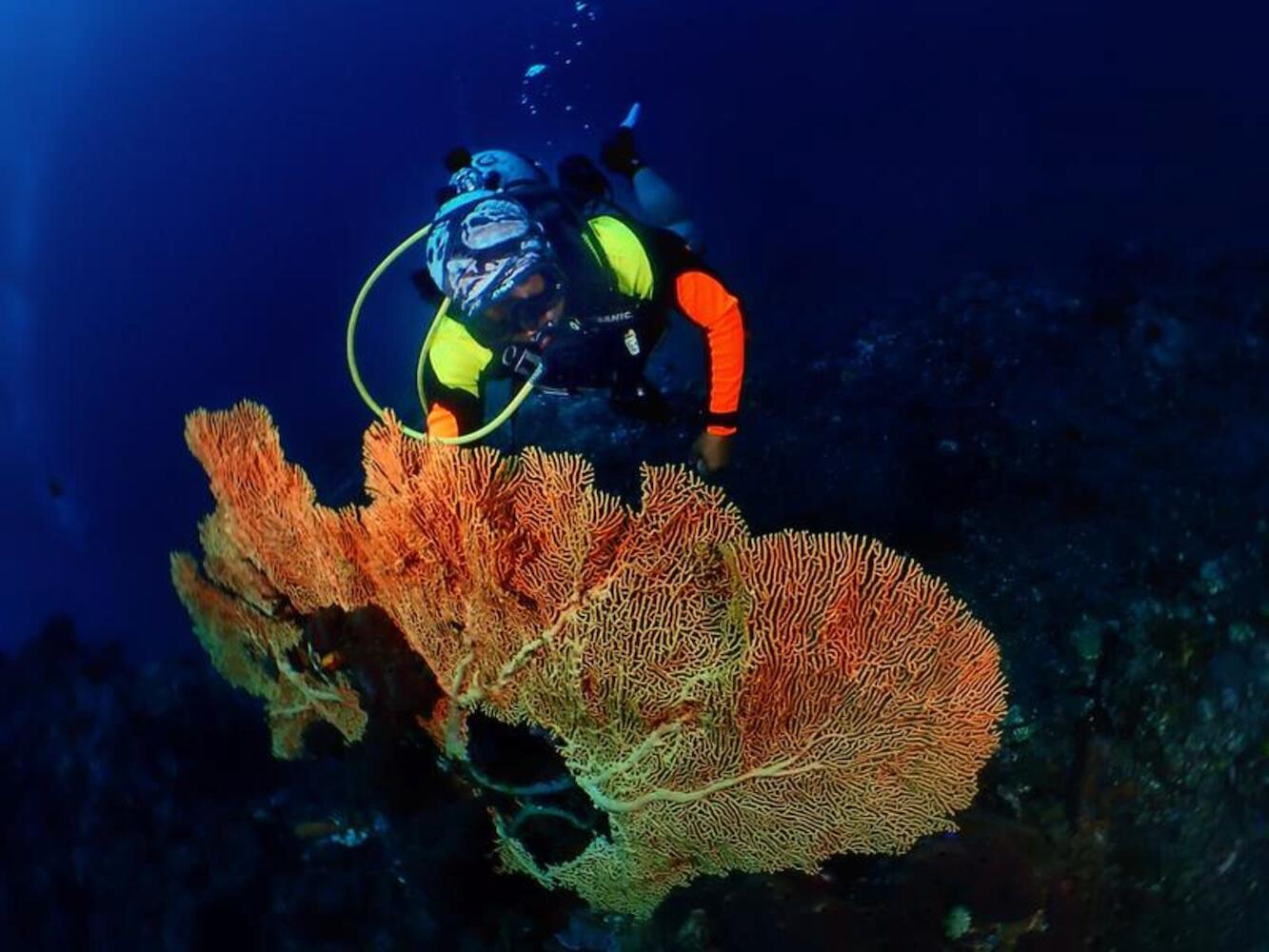 Pebble & Fins Bali Resort, Tulamben