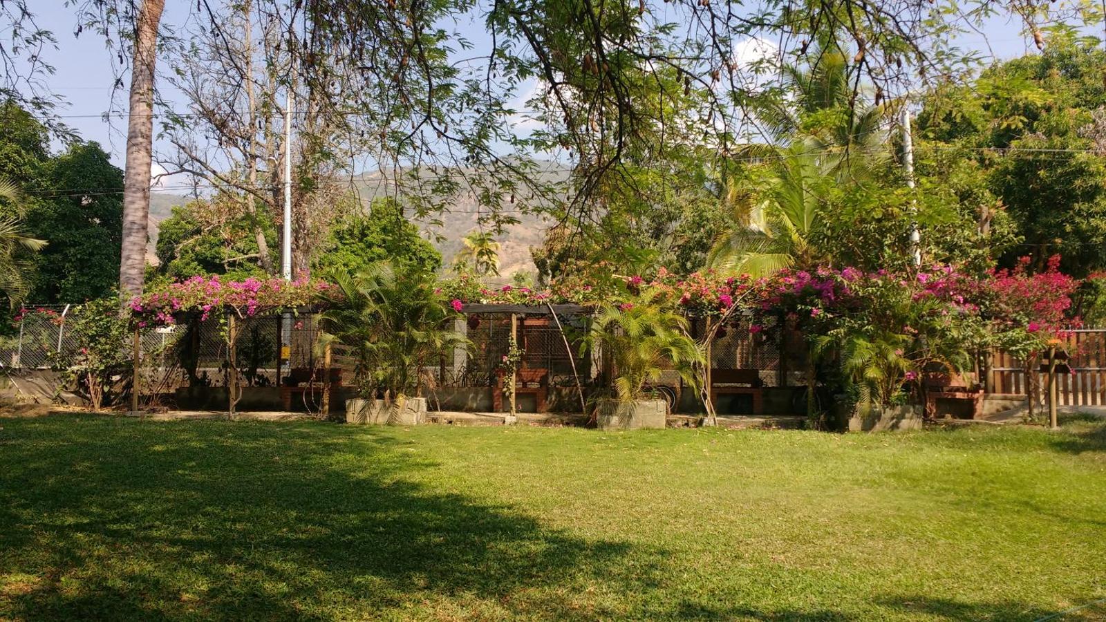 Las Cabanas de Pino Hostel