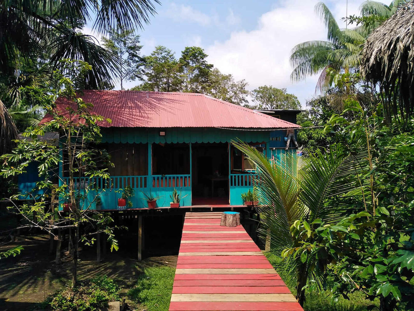 Hostal Buho Amazonas