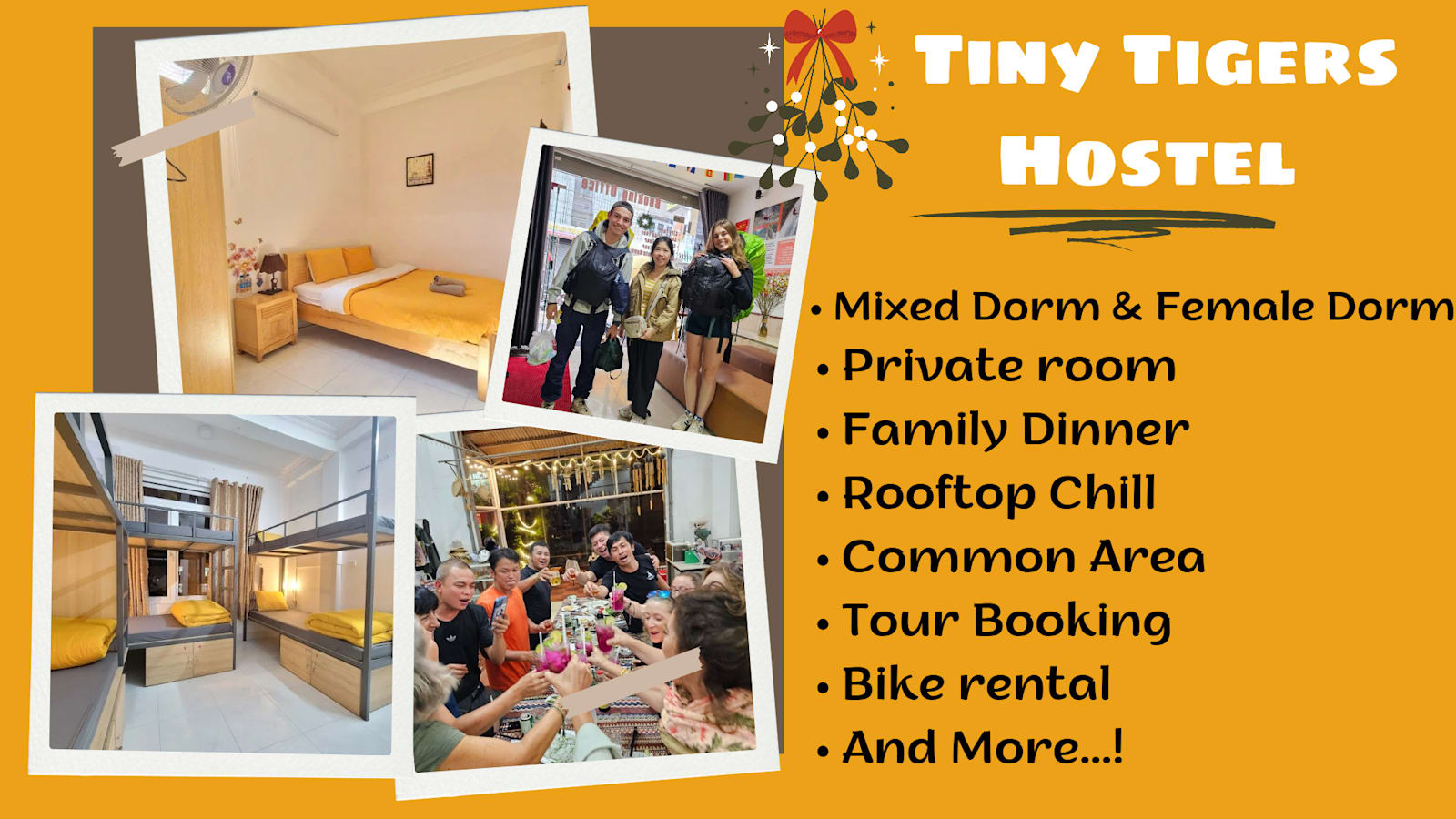Tiny Tigers Hostel, Dalat