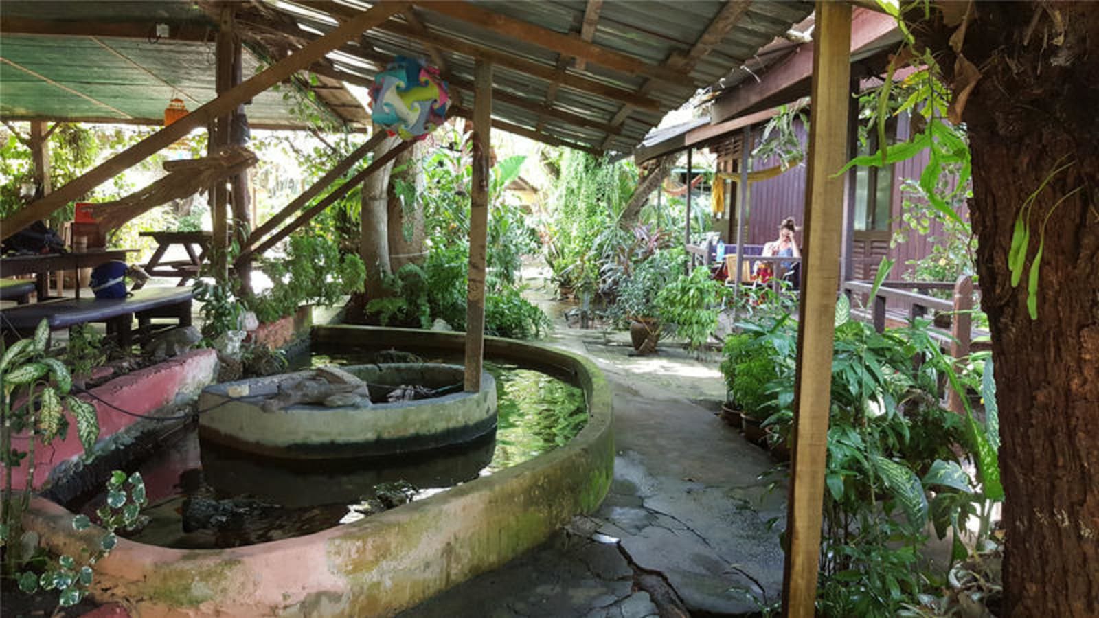 Gecko Guesthouse