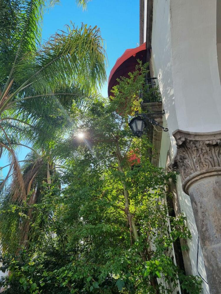 Coliving Chingon, Guadalajara