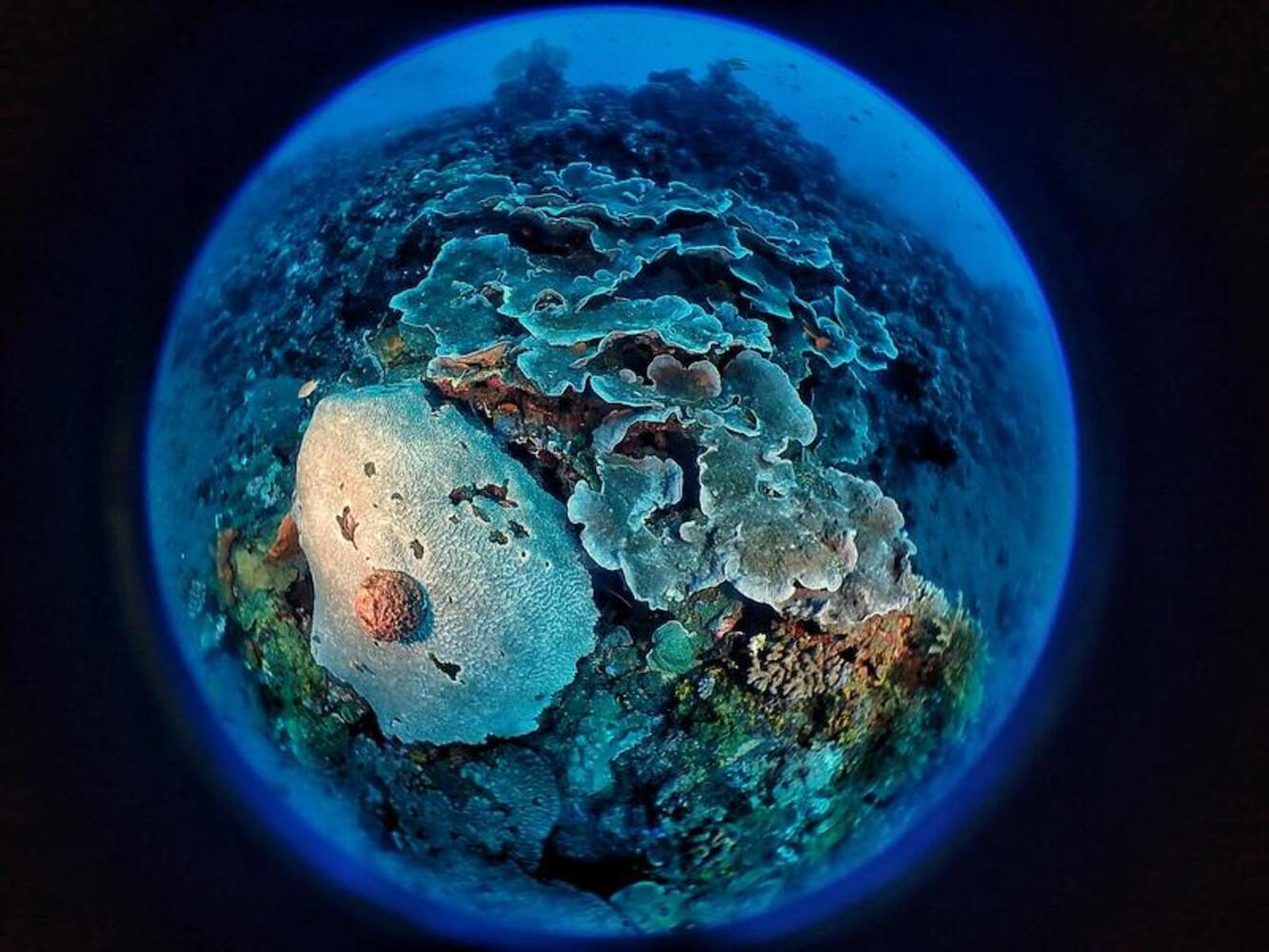 Pebble & Fins Bali Resort, Tulamben