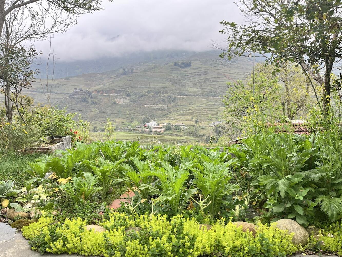 Ta Van Heaven Homestay