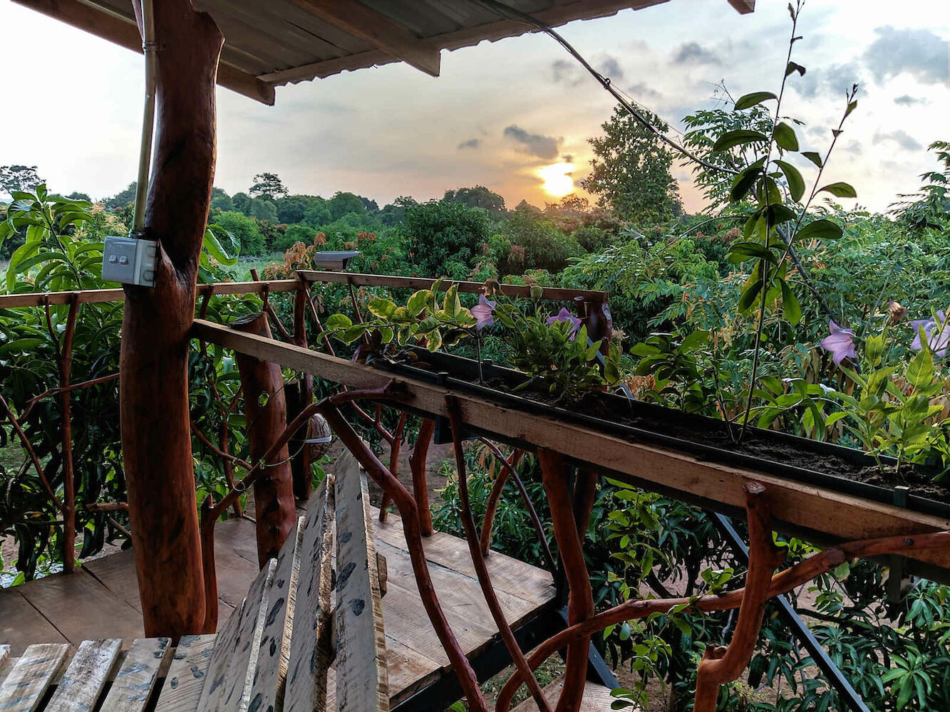 Elegant Elephant Hostel, Sigiriya