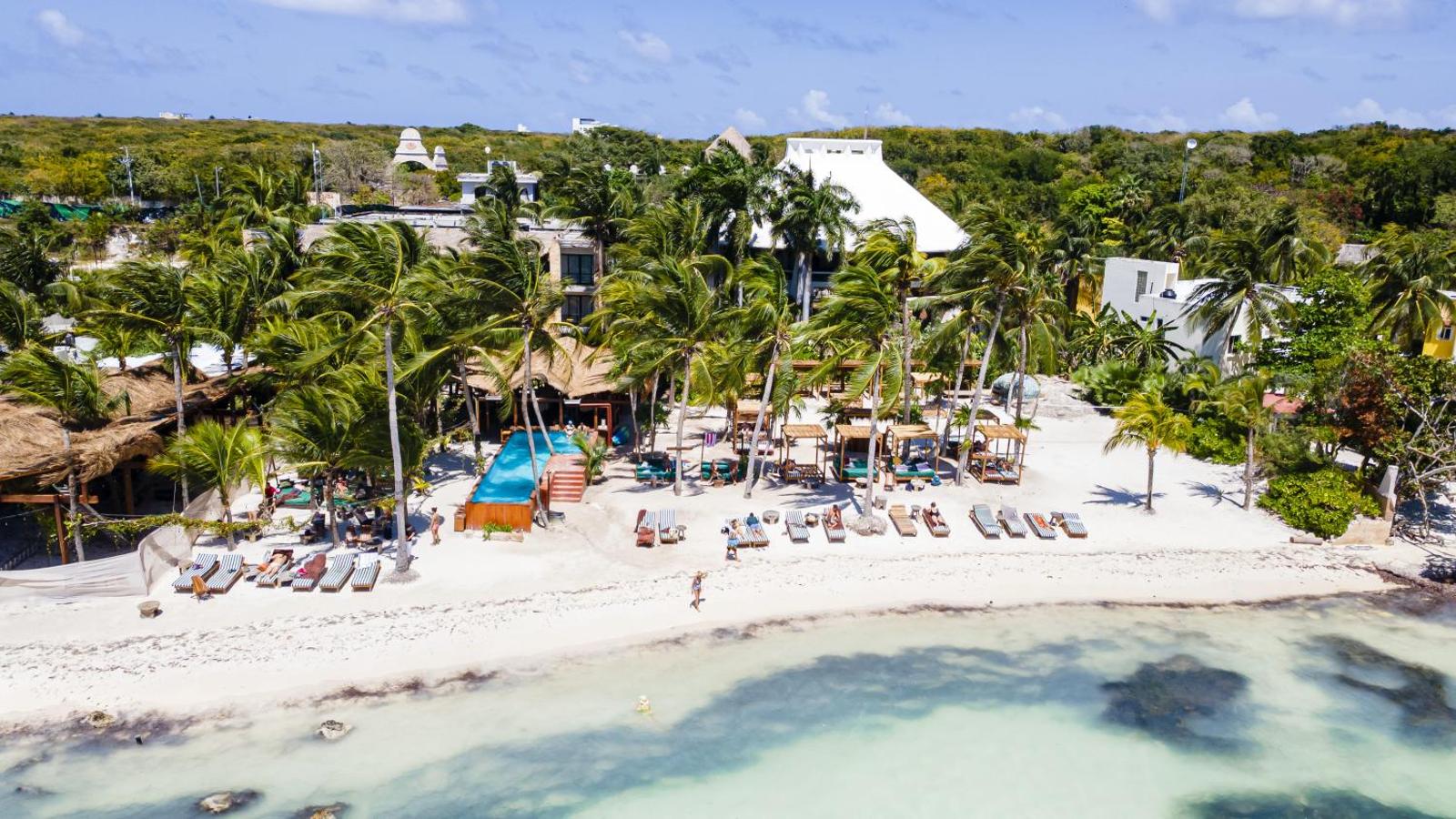 Mayan Monkey, Isla Mujeres