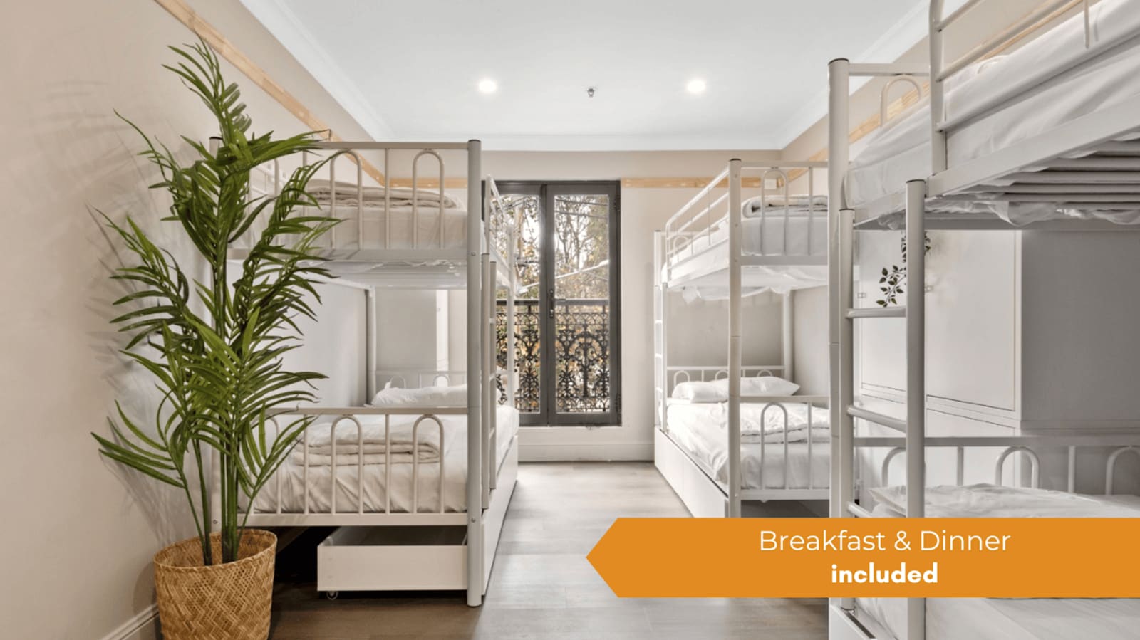 Azzurro Pod Hotel - Surry Hills