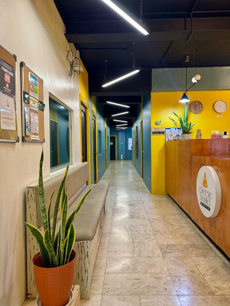 Cheese Hostel