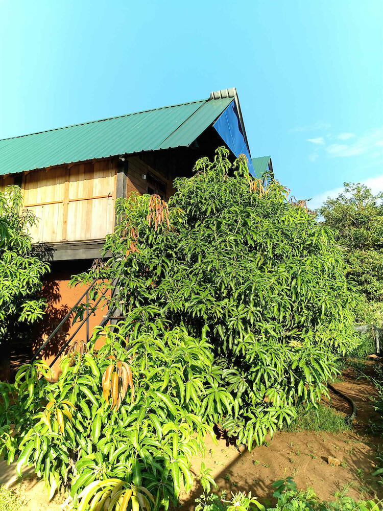 Elegant Elephant Hostel, Sigiriya