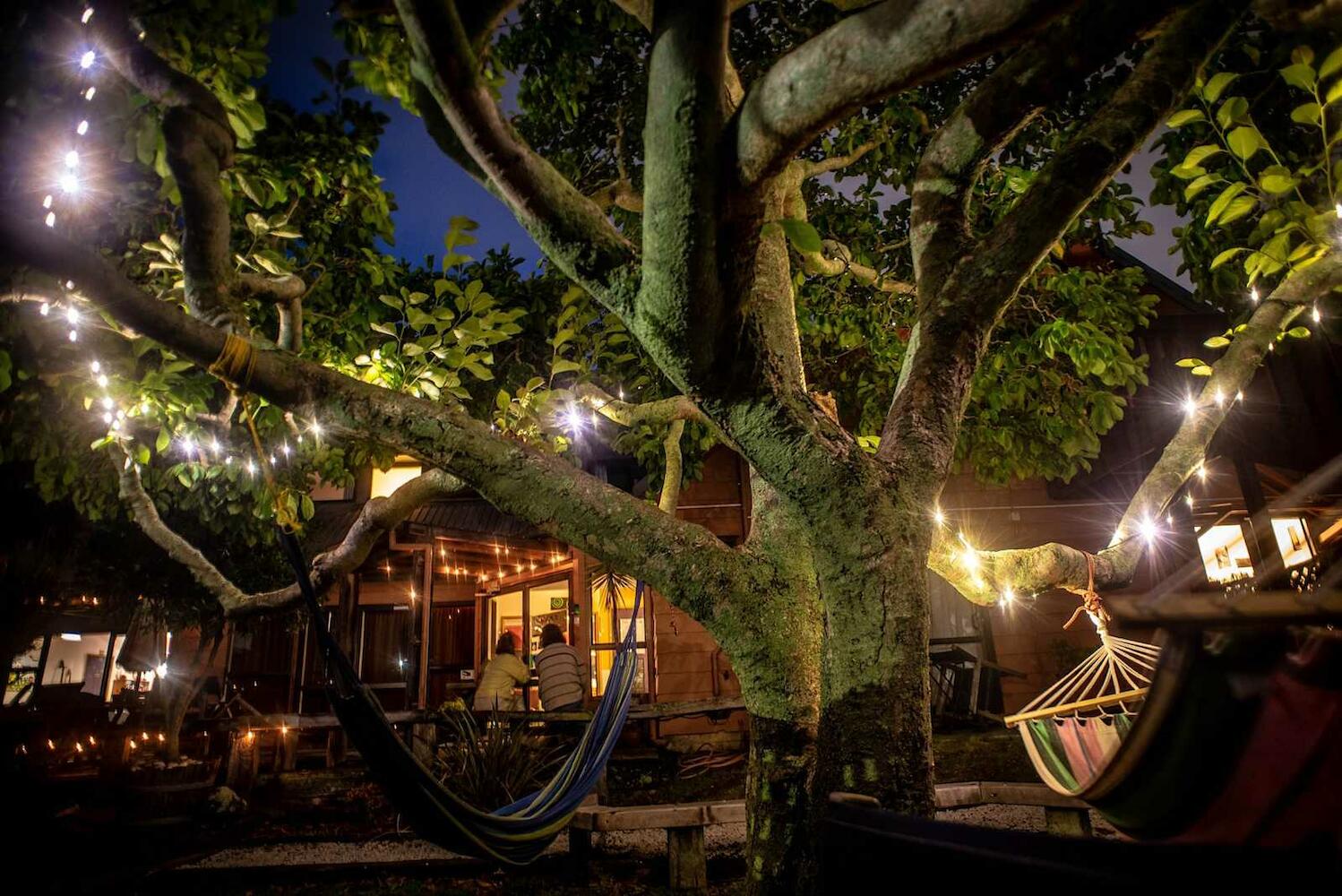 Tasman Bay Backpackers, Nelson