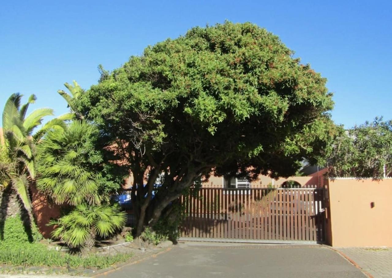 Surfhostel Cape Town