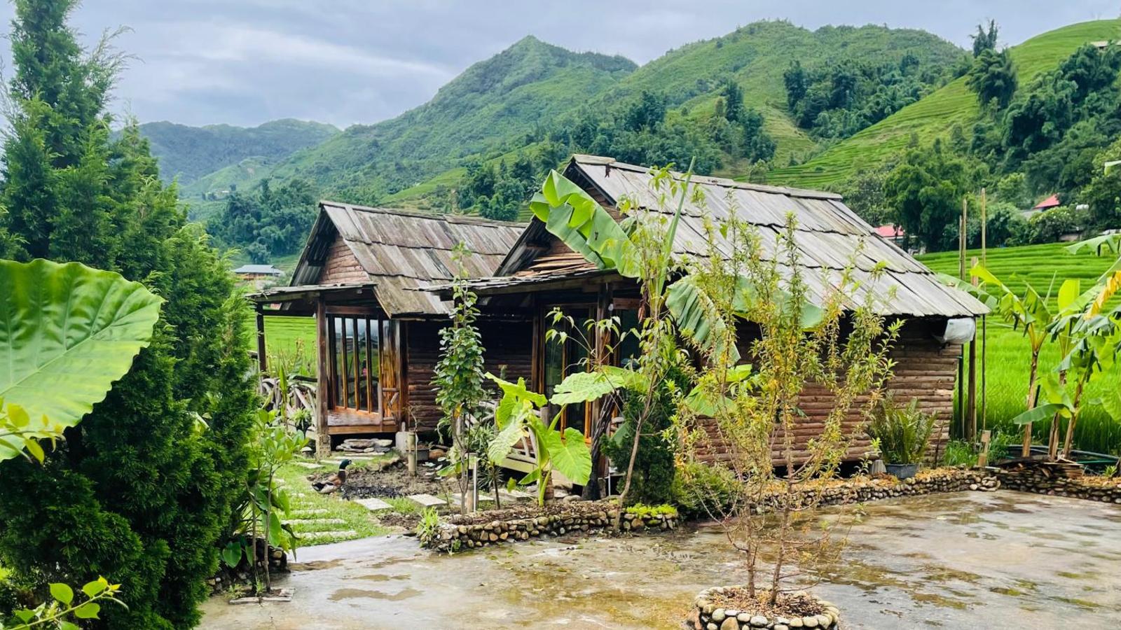 Eco Rice Fields House, Sapa