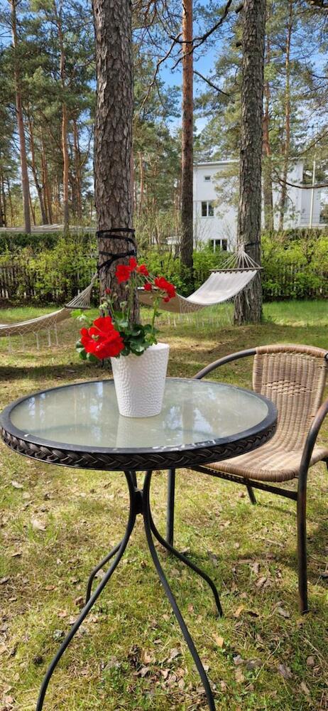 Freedom65 Hostel & Caravan, Tallinn