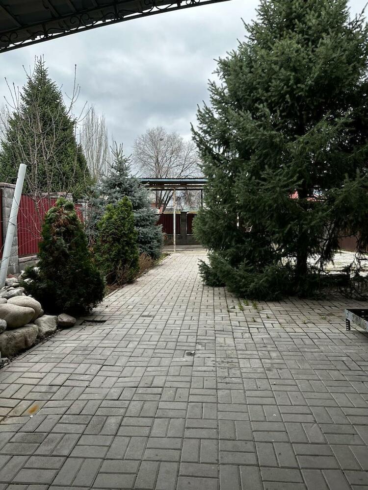 Lion Hostel, Almaty
