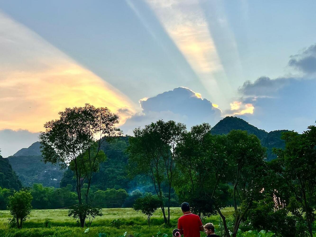 Forest Sunset Hostel