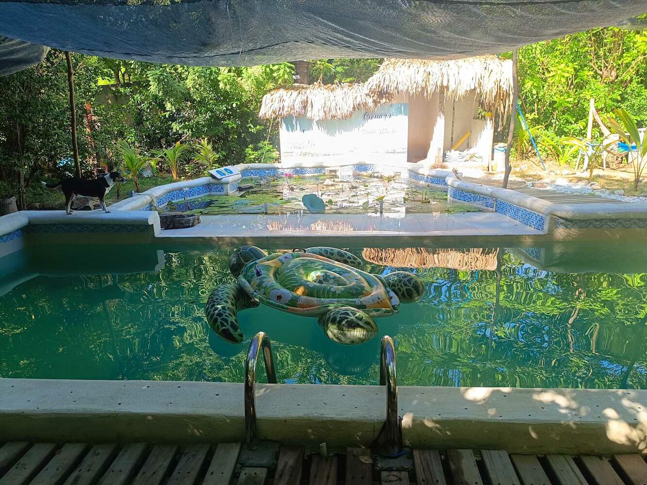 Glamping Bio Coliving Tayrona, Tayrona Park