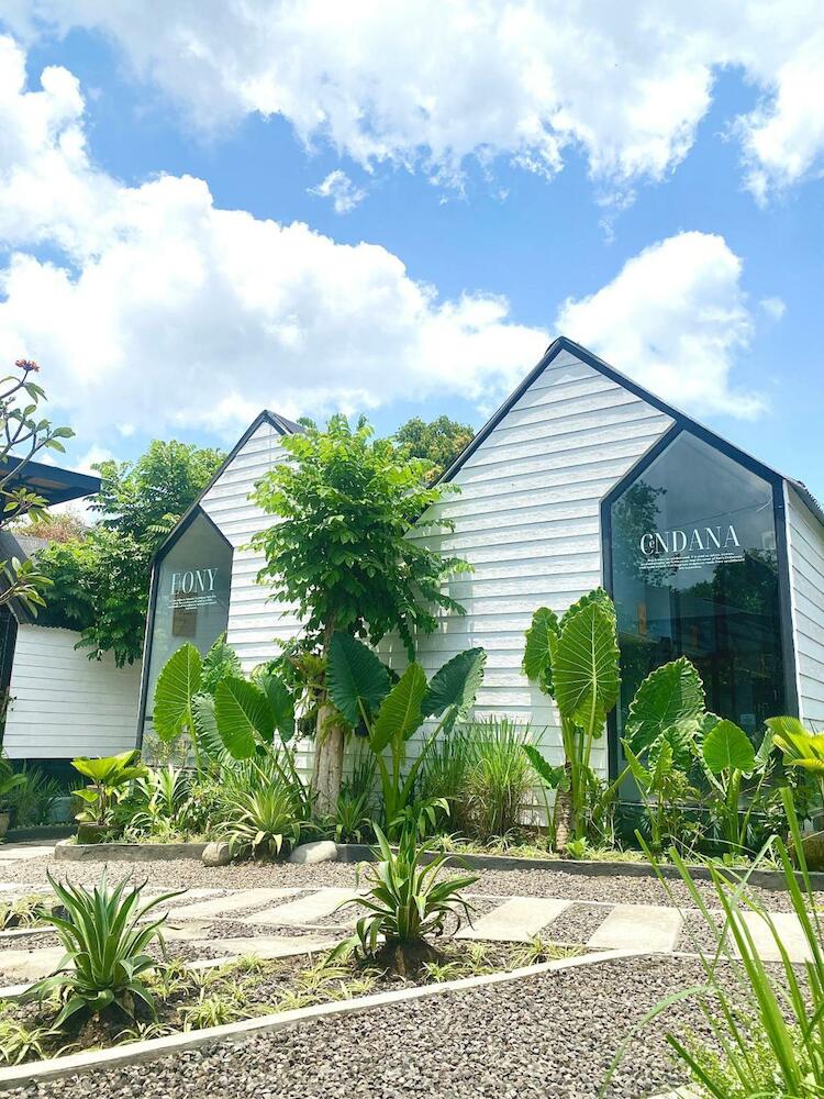 The Jungle Hostel