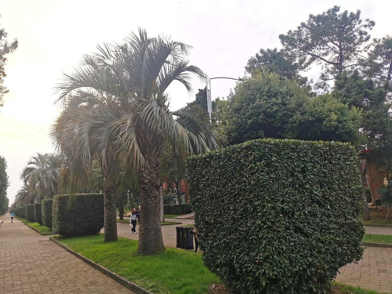 Harmony Backpackers Hostel, Batumi