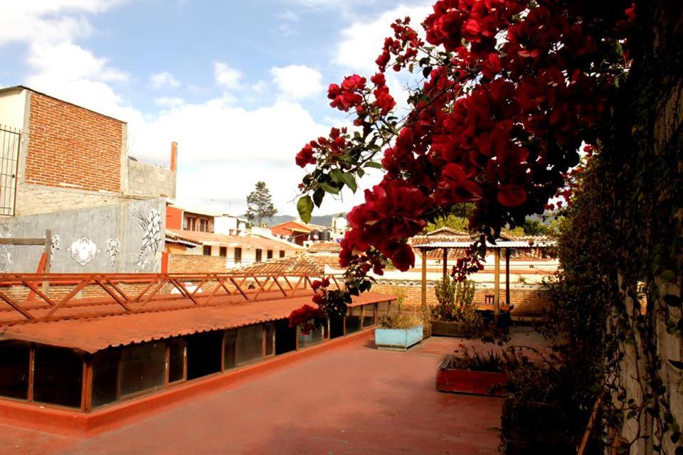 Hostal El Nagual, San Cristóbal de las Casas