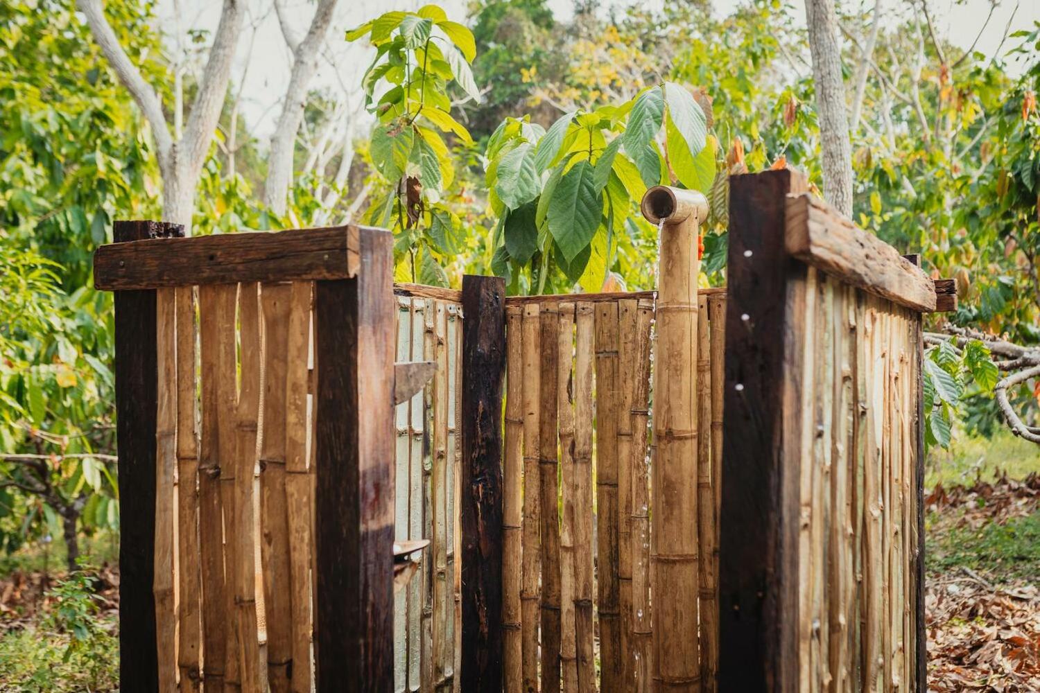 La Ponderosa Reserve, Buritaca