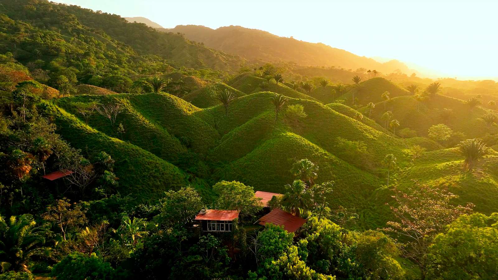 The Valley Tayrona