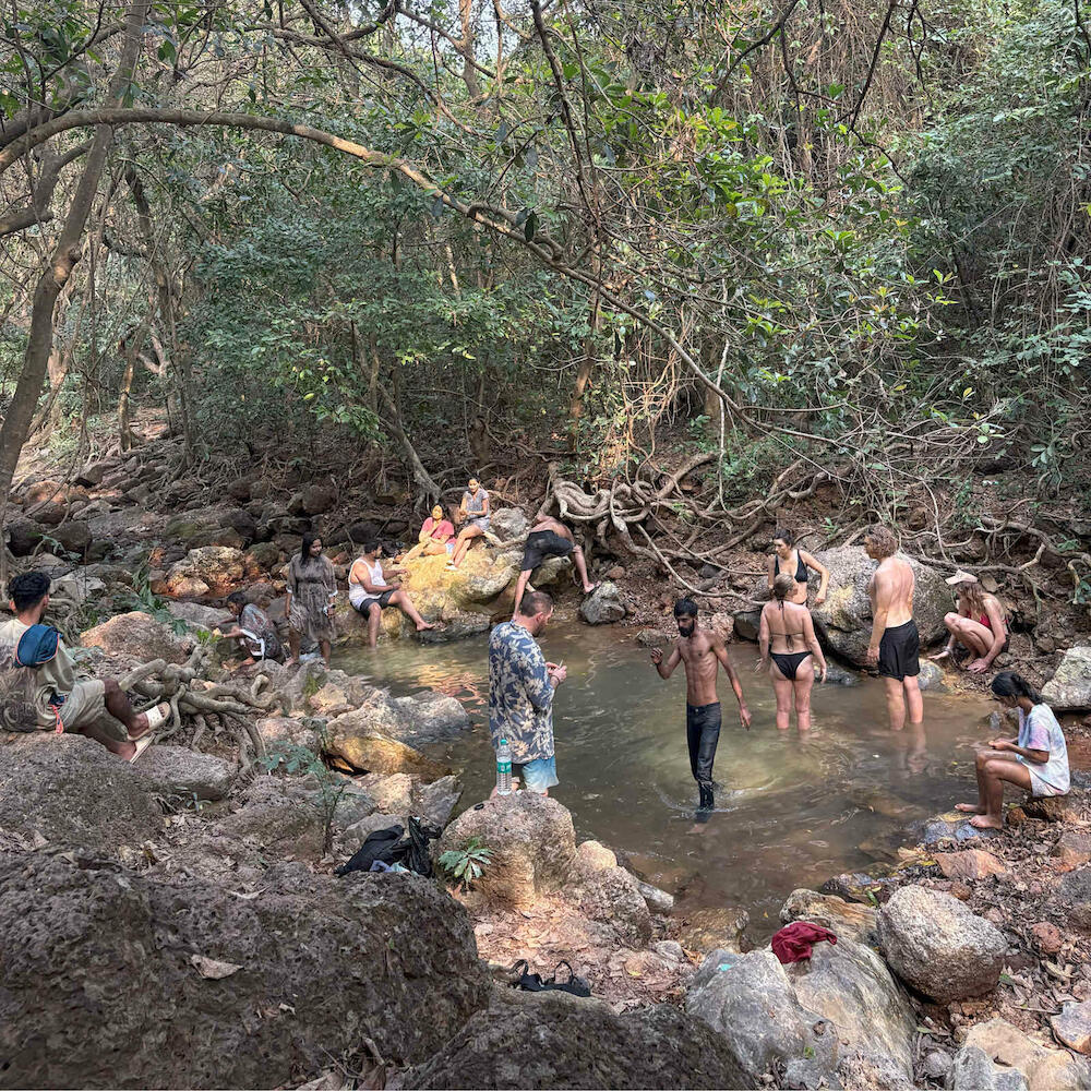 Tamasha Goa Vagator